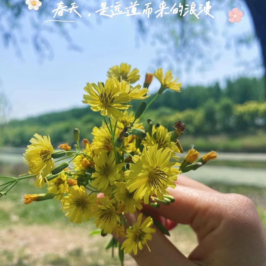 焱森垚