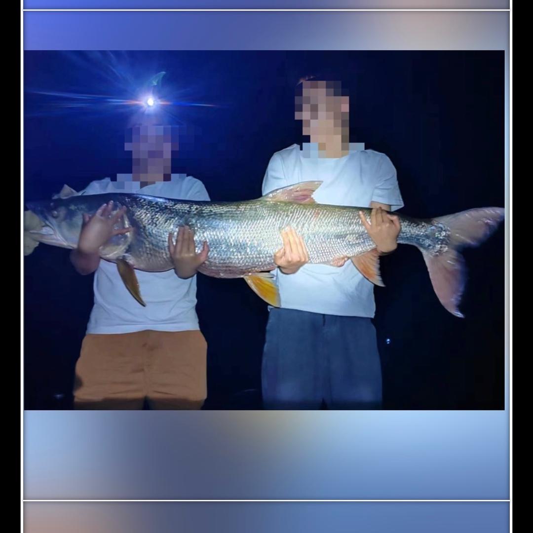 小杰路亚🎣