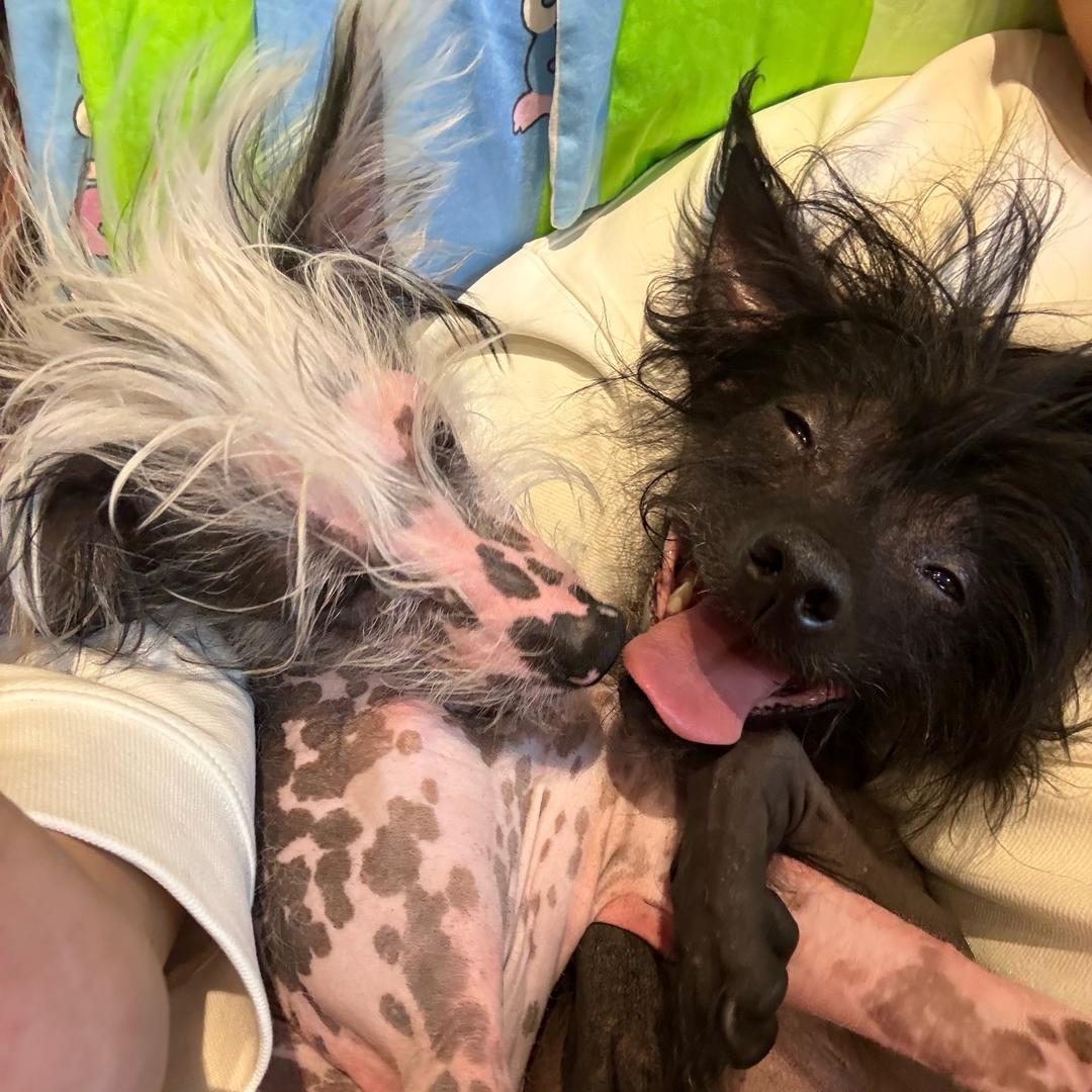 我叫美丽（汗捂妹）