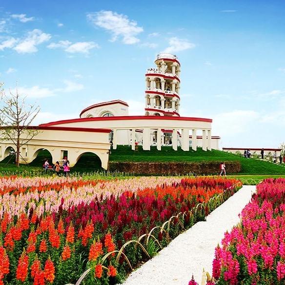 花无缺花卉基地