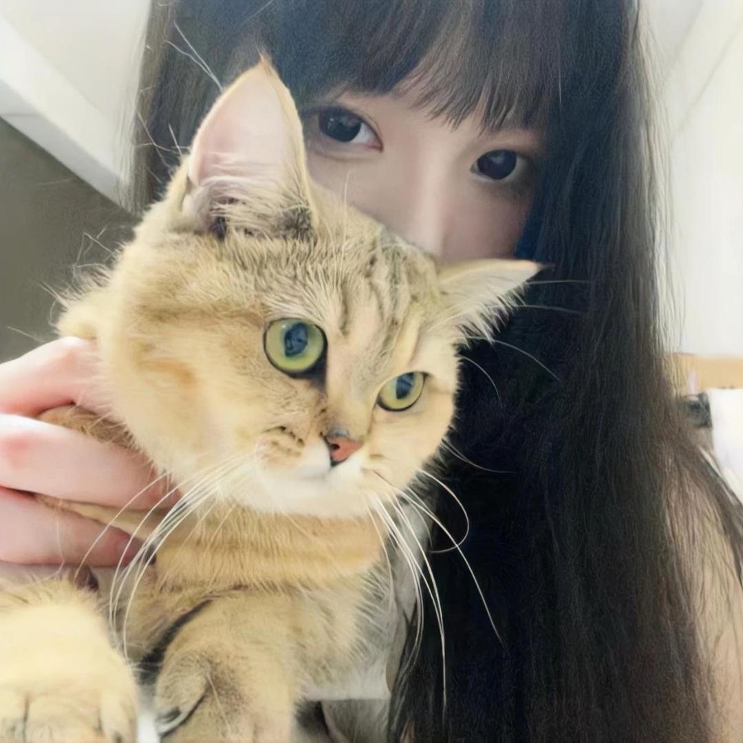 你怎么这么冷冰冰