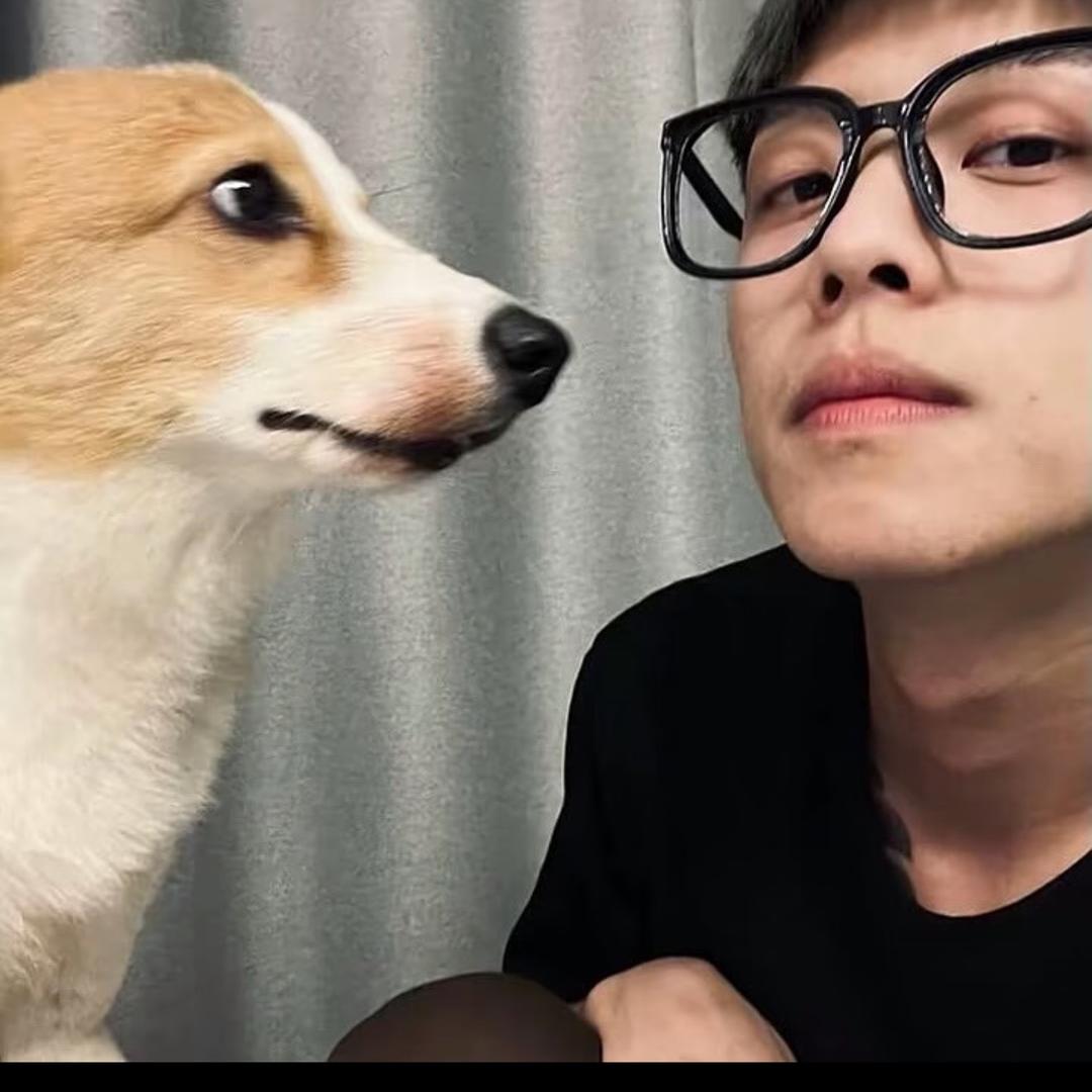 楊