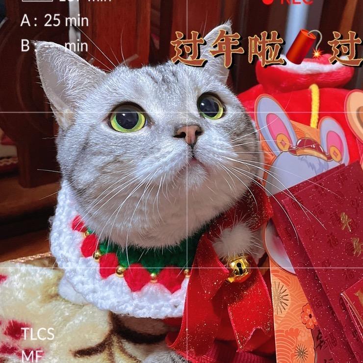 @奶盖那个盖