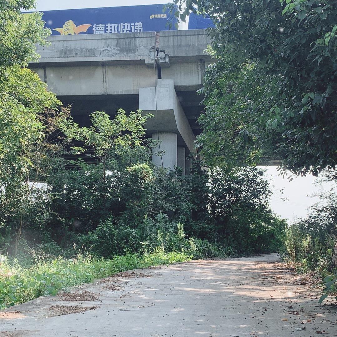 (艺玲）爱运动
