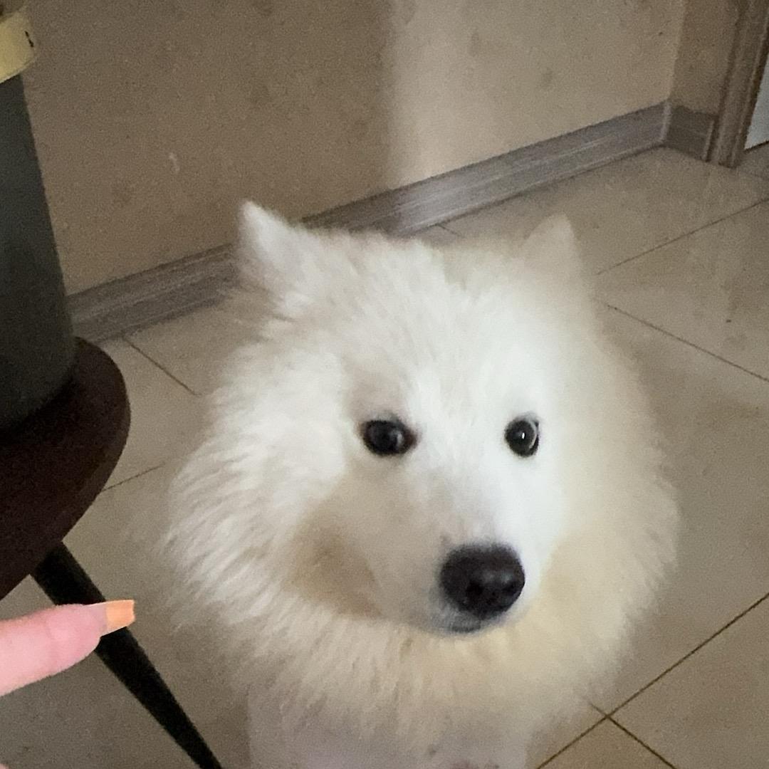 RR台球俱乐部🎱小U