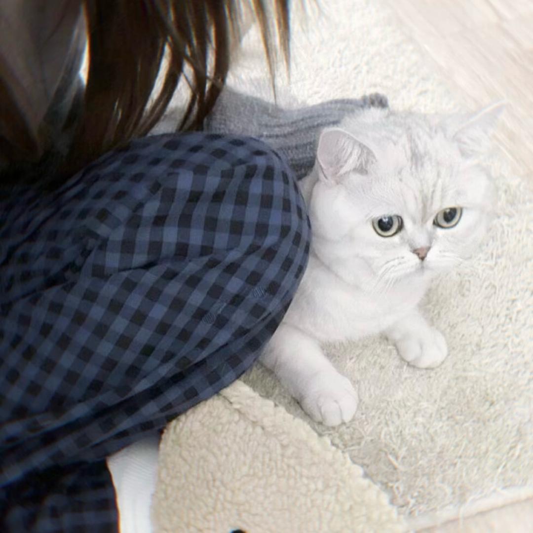 林雯（无畏契约）