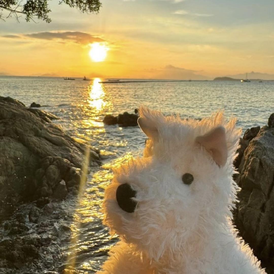 小羊咩咩🐏