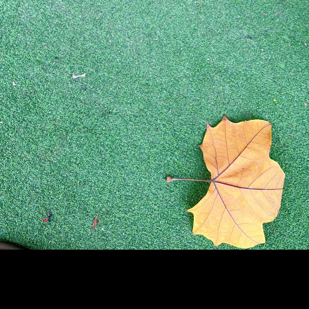 大白兔🐰奶糖🍬