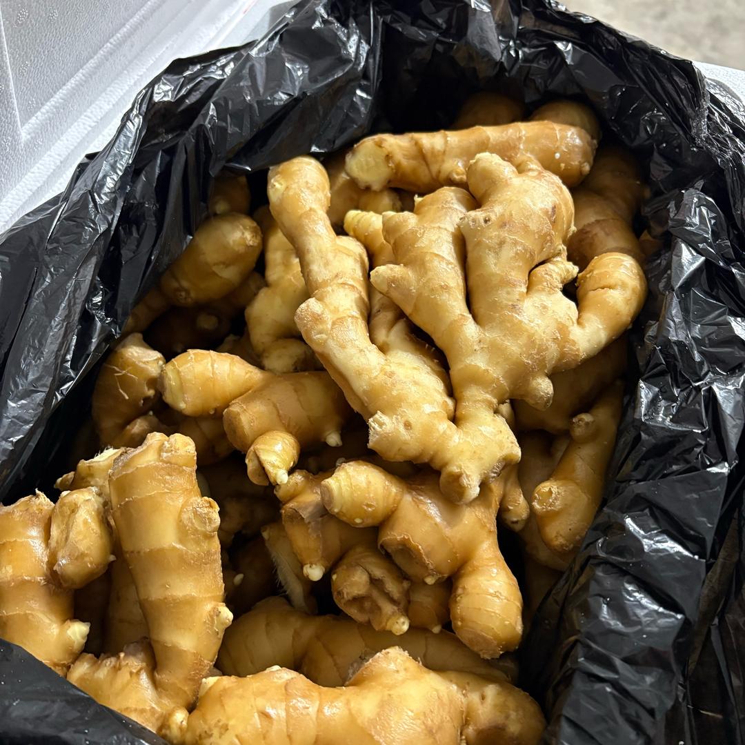 大美阿克苏一级蔬菜批发