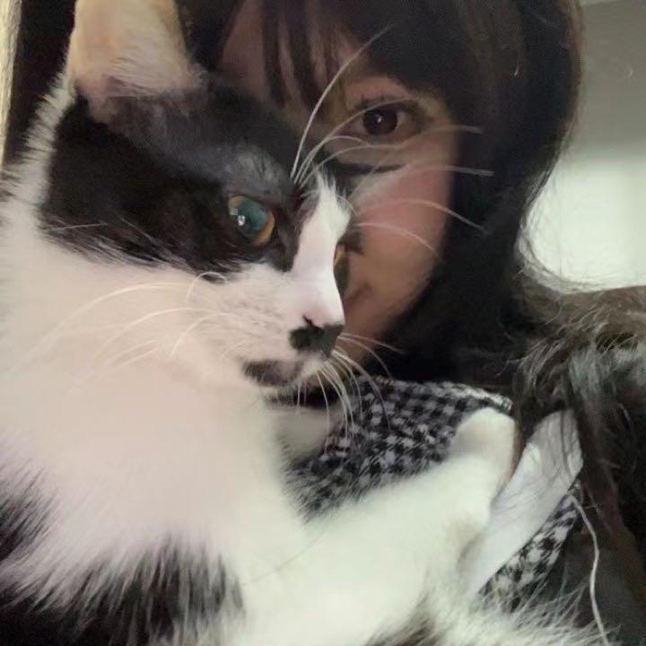 干物妹