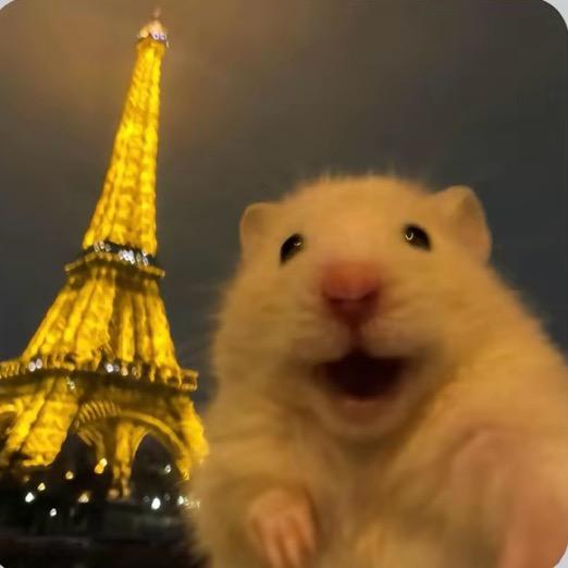 可以快点发货吗我太容易后悔了