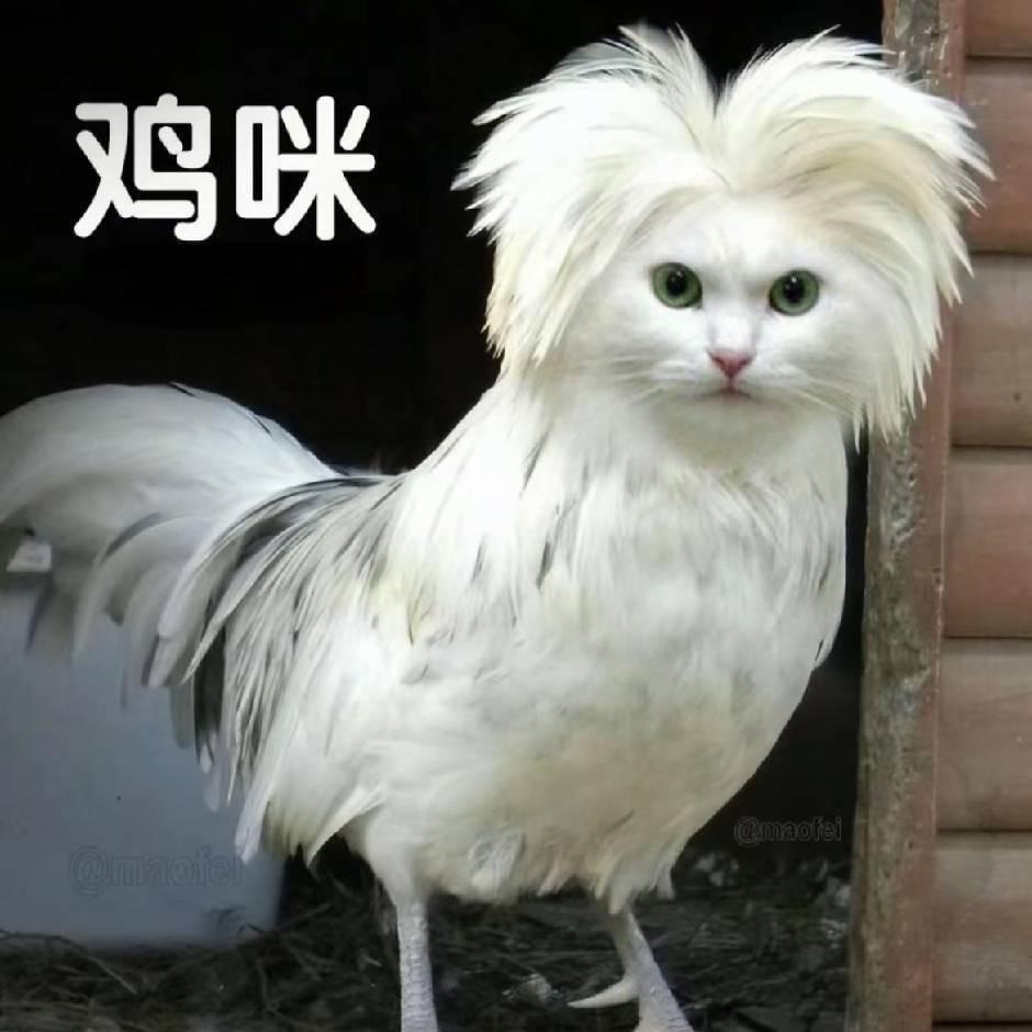 记得外卖