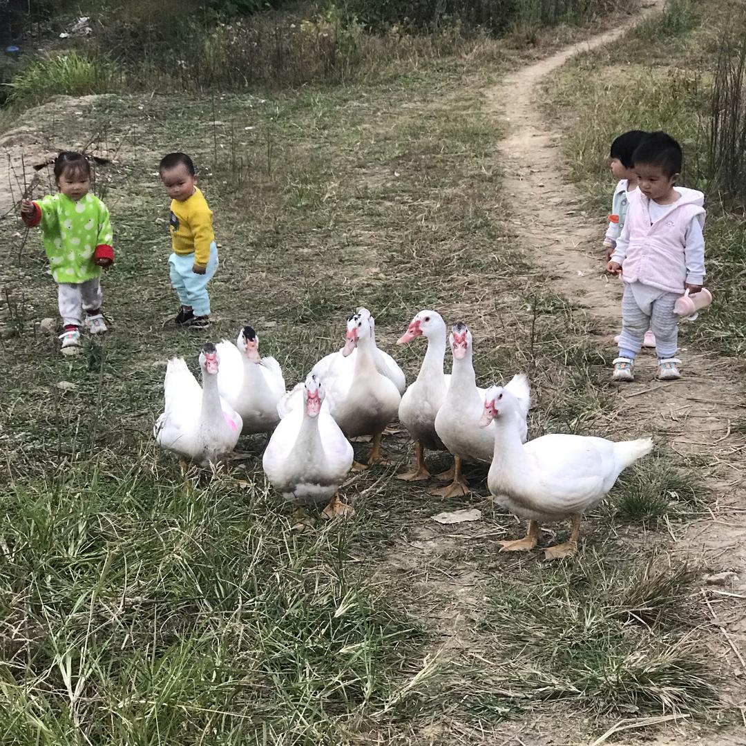 左左右右妈妈