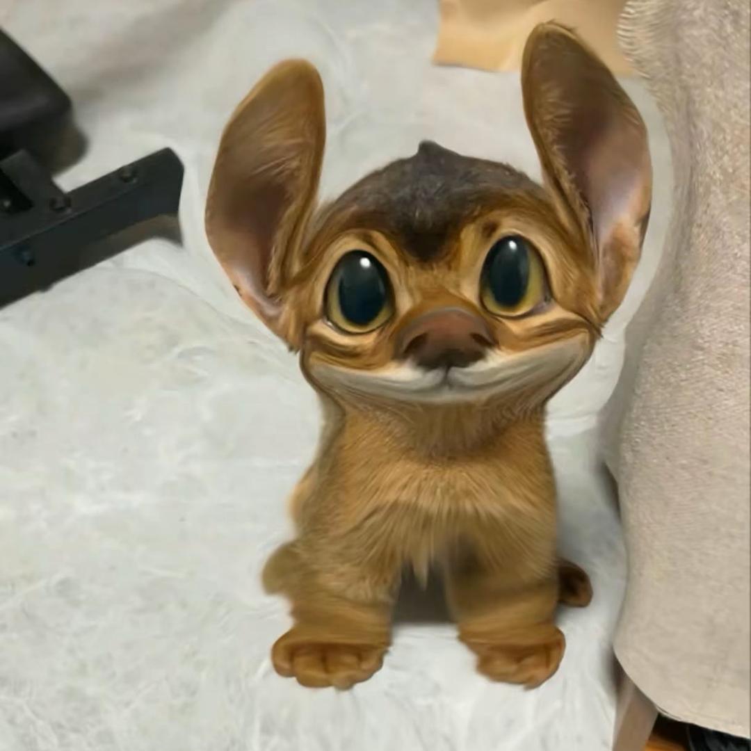 .y