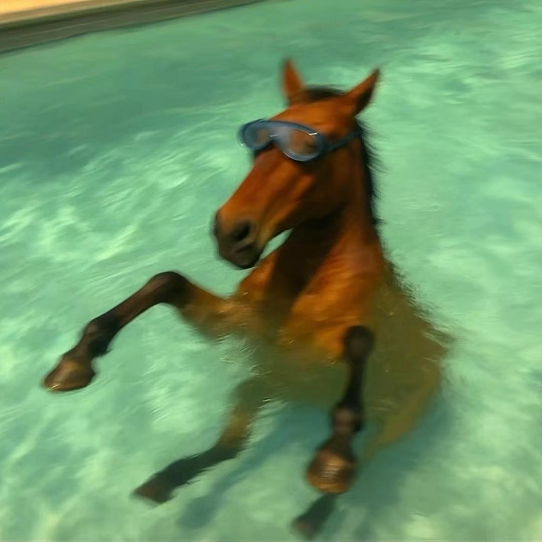 🥕.
