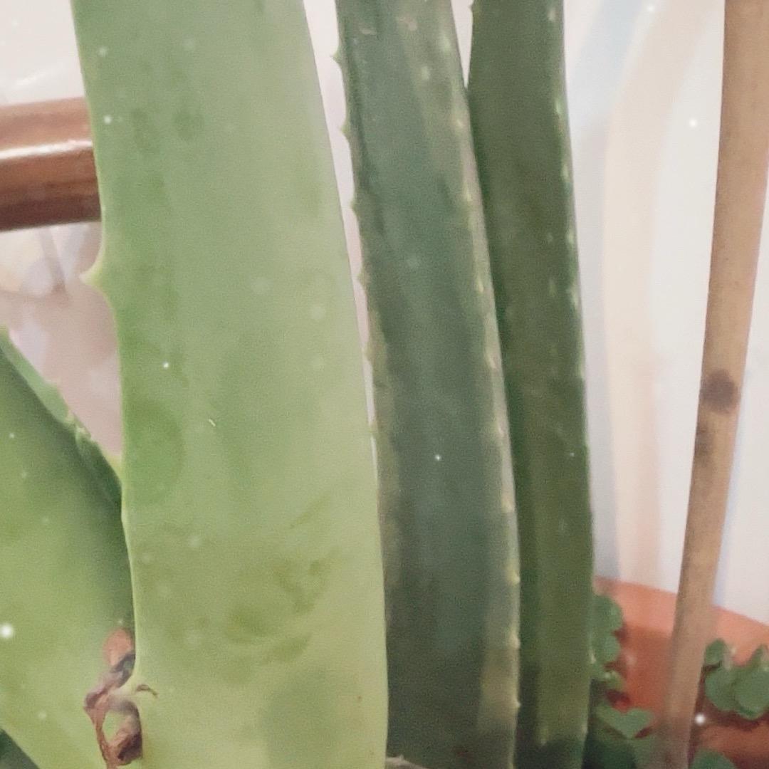 姗妹美食分享