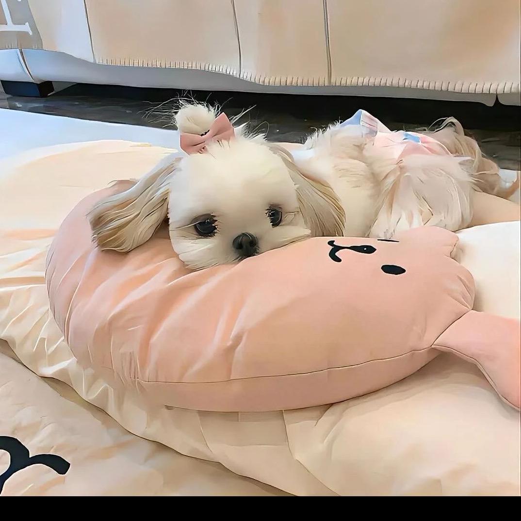 那片海