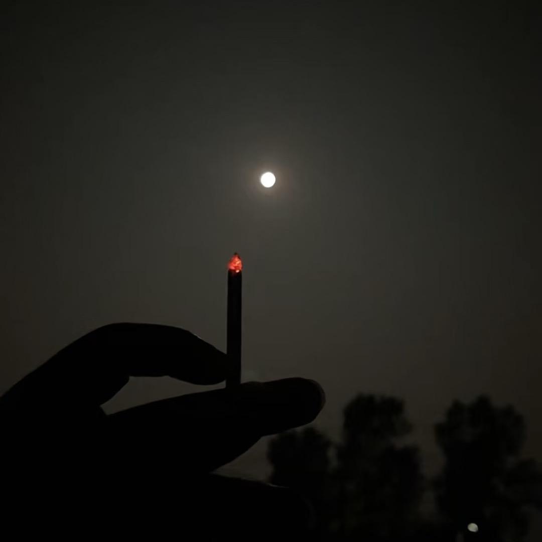 ……………………