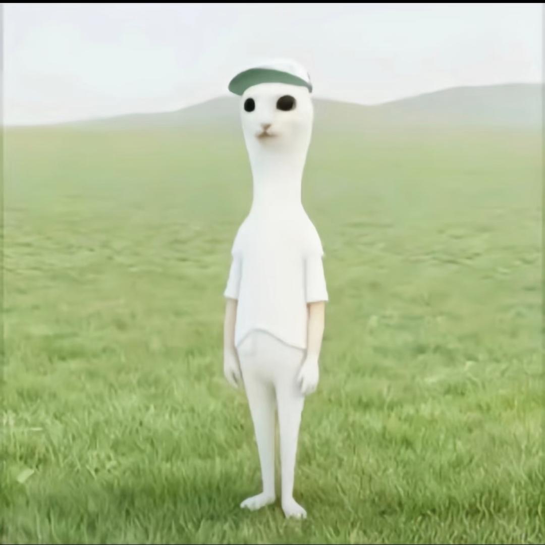 千千万万