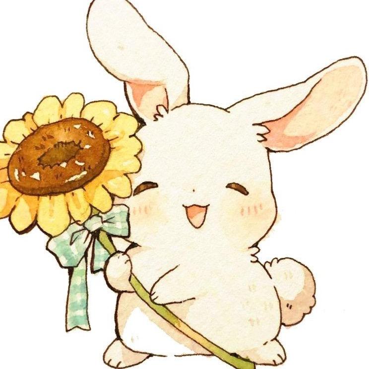小蝉妹妹🐰