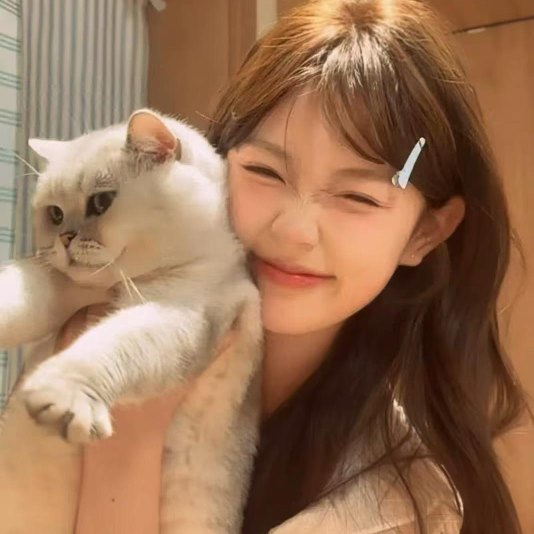 卷个小猫੭ﾞ