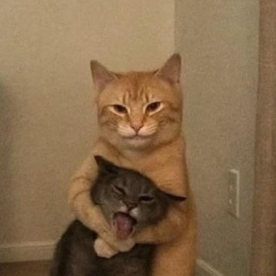 ..是婷婷