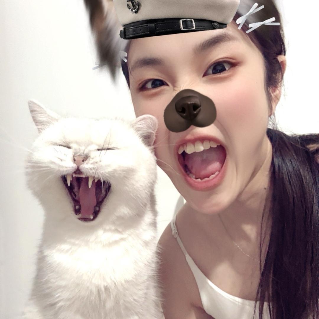 🫡江无灾