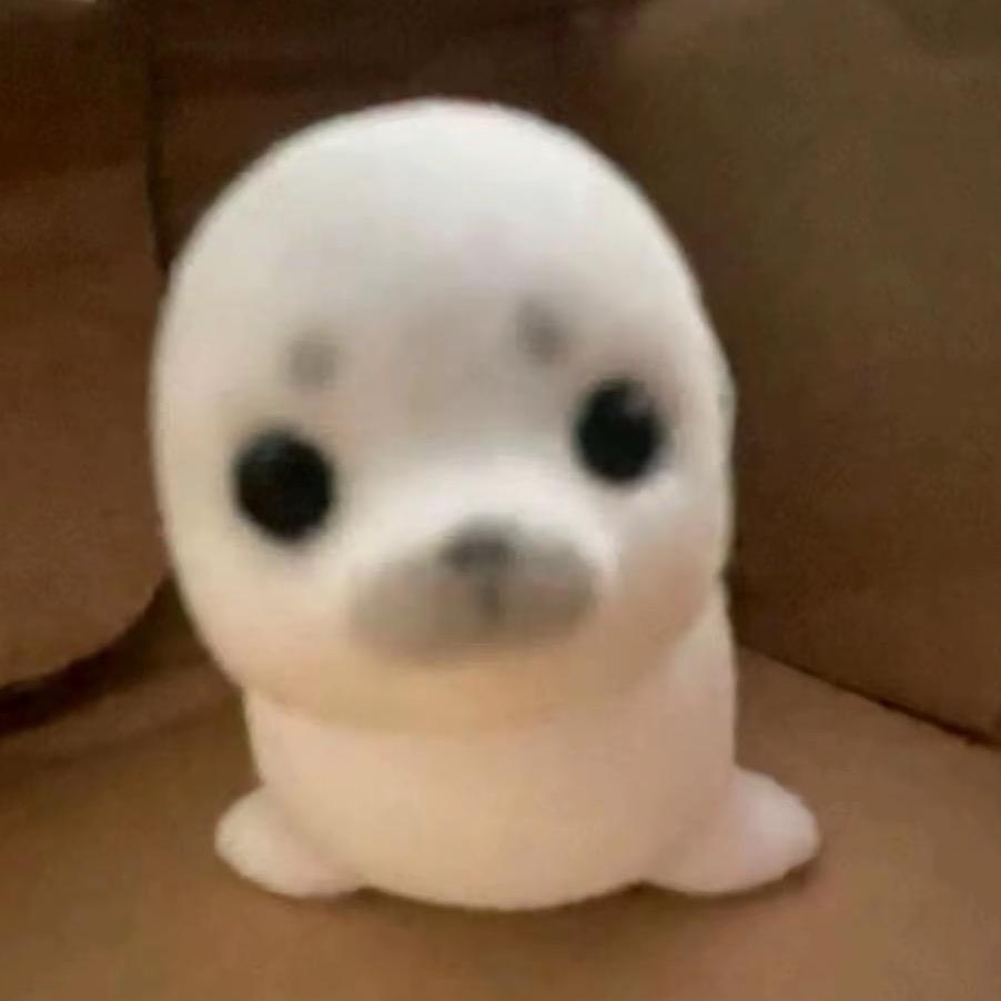 Yy.-
