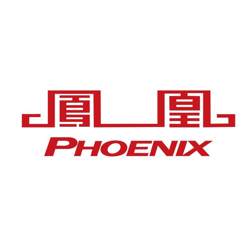 凤凰骑行专卖店
