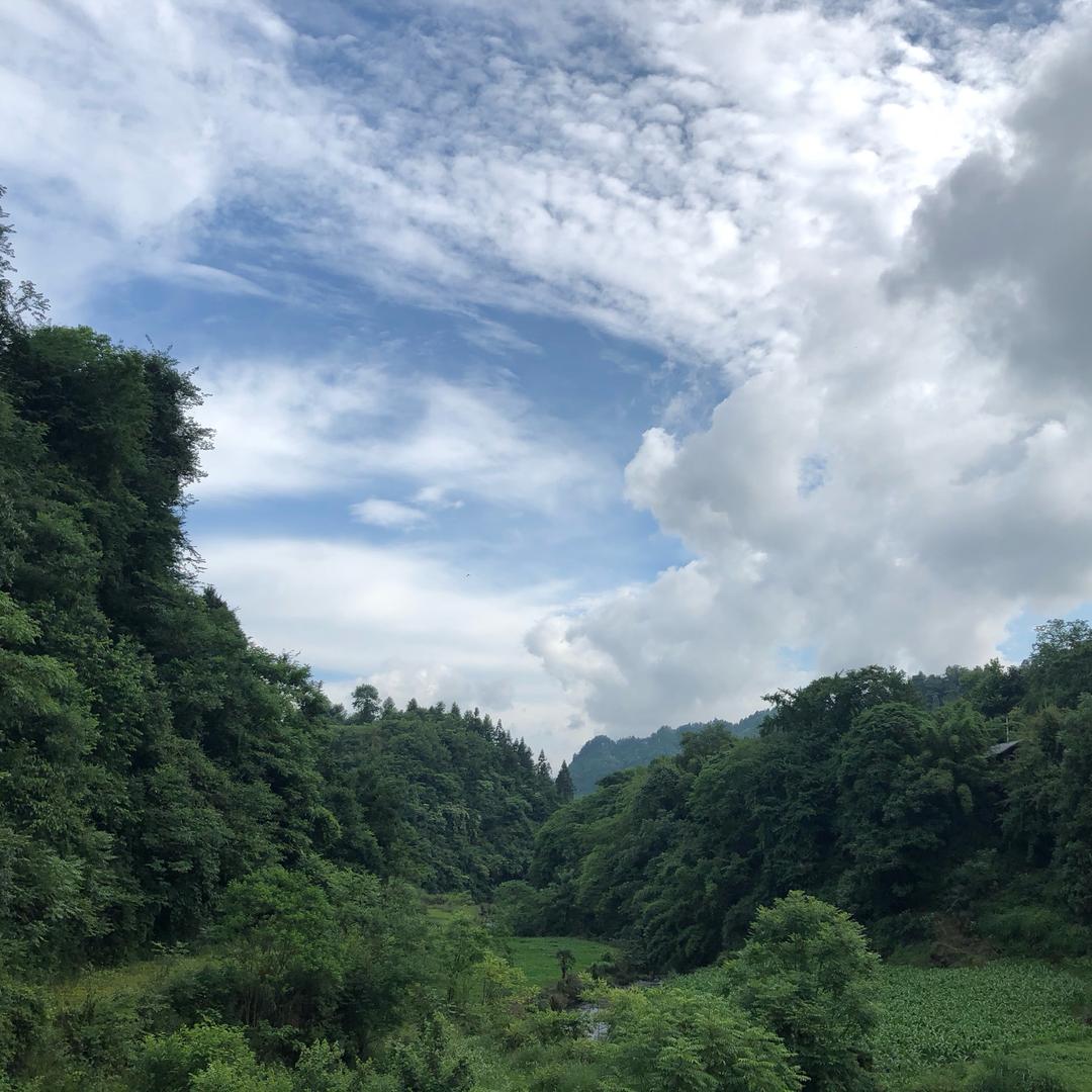 小元姐姐情感