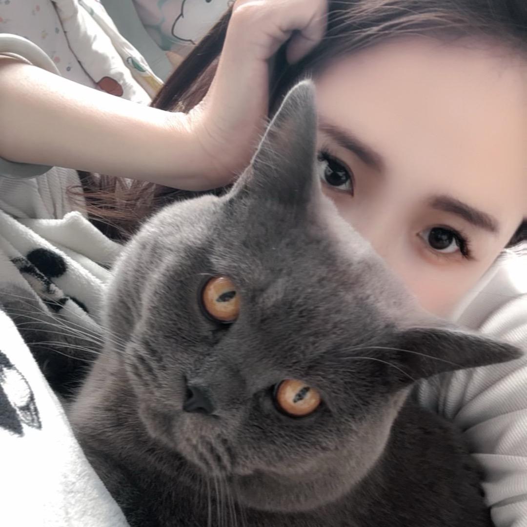 ☪️💤倪