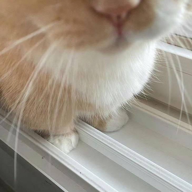 iQynn_zng109