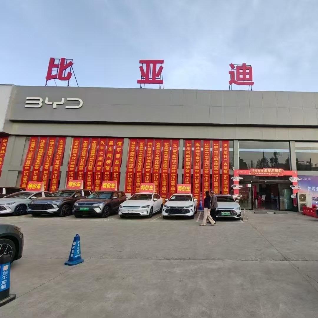 开比亚迪的园园