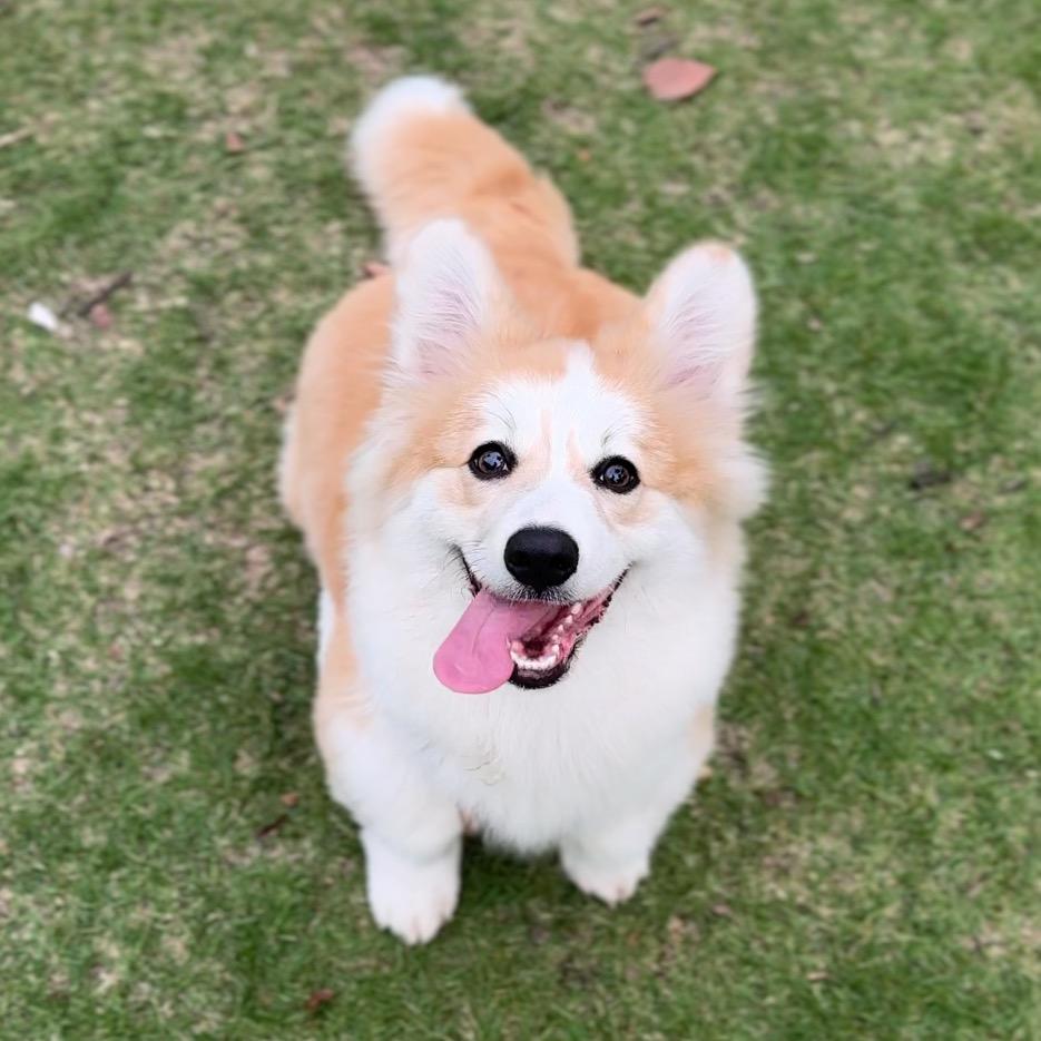 我
