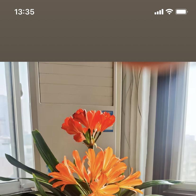 春色满园鲜花园艺