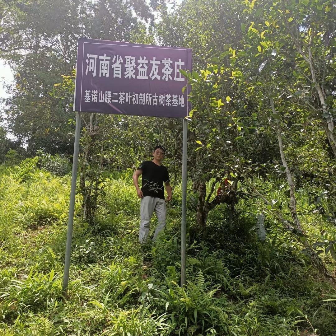 小涛说茶