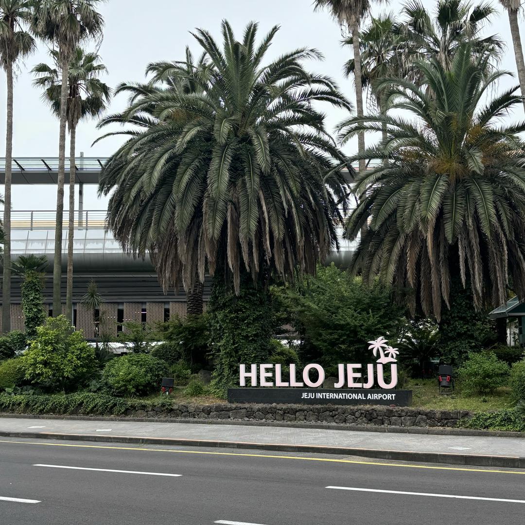 轻轻拂过