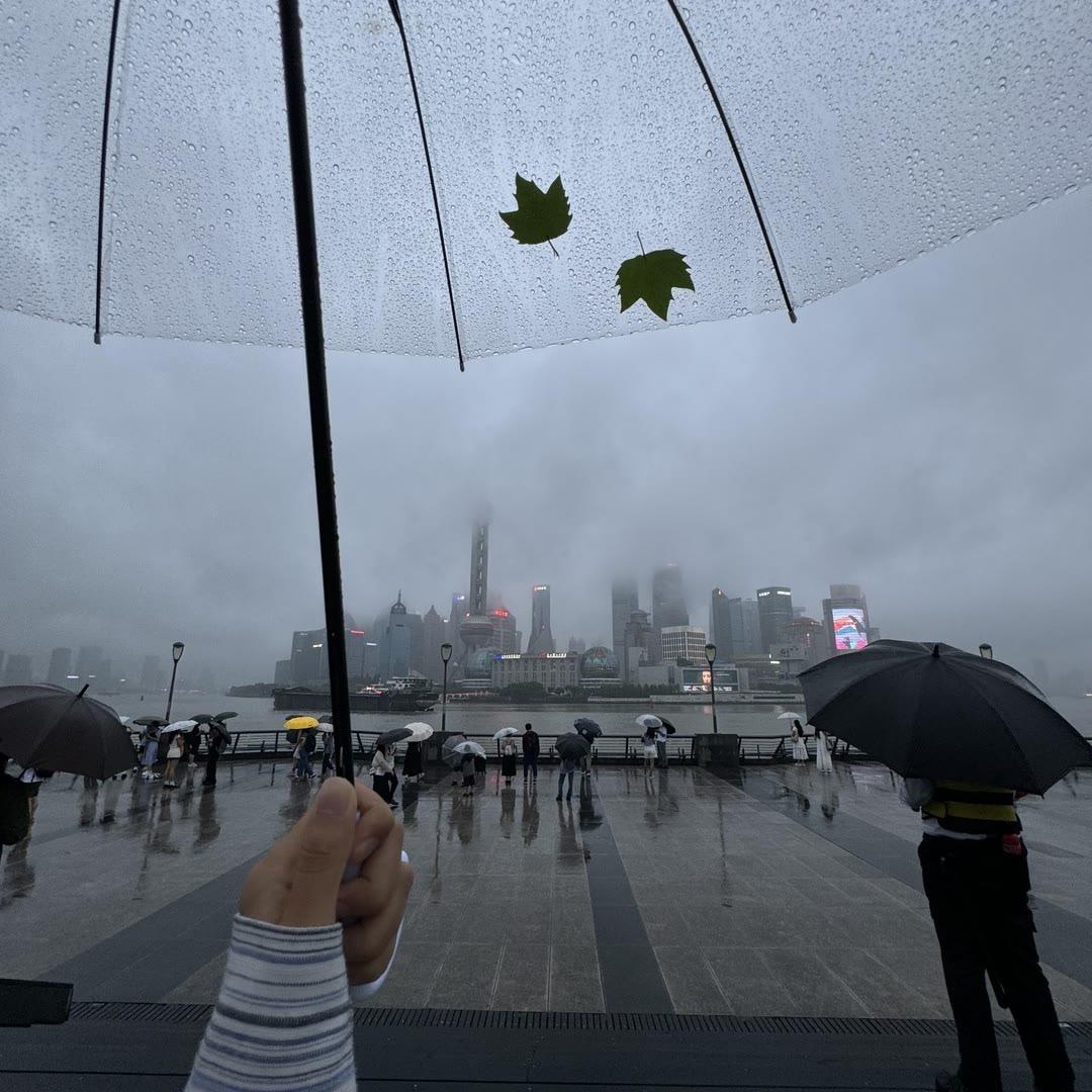 Lෆiೄ೨ᥫᩣ囍💒 （米兰婚礼策划）