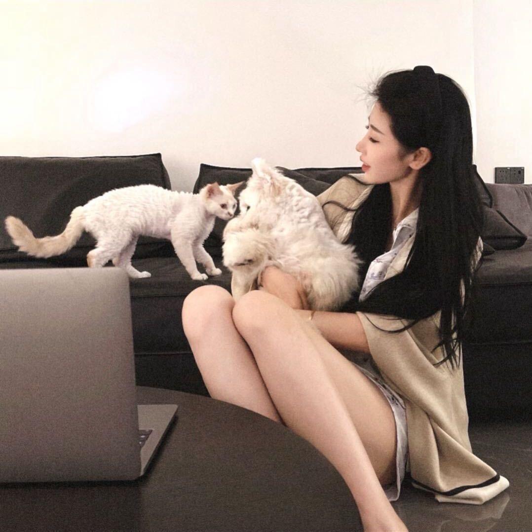 美羊羊爱睡懒觉