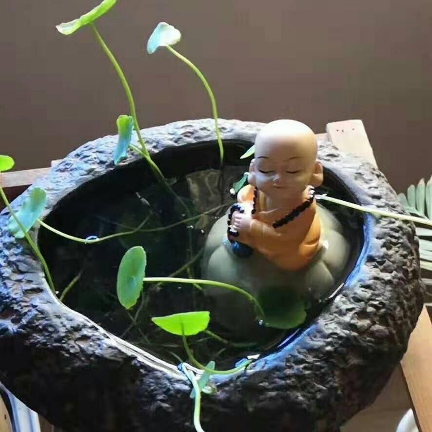 木老歪