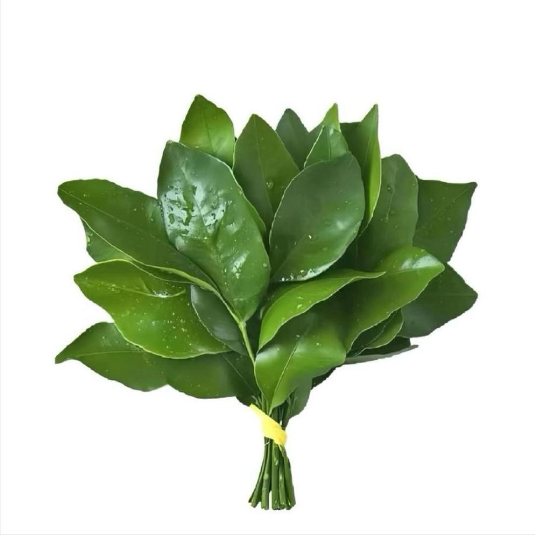 오하