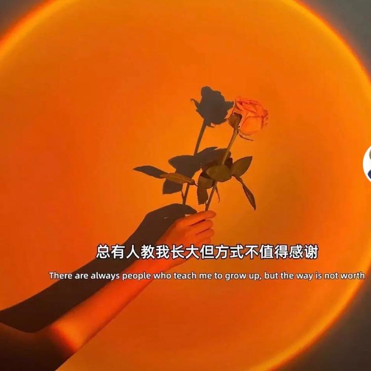 小魏魏的一天