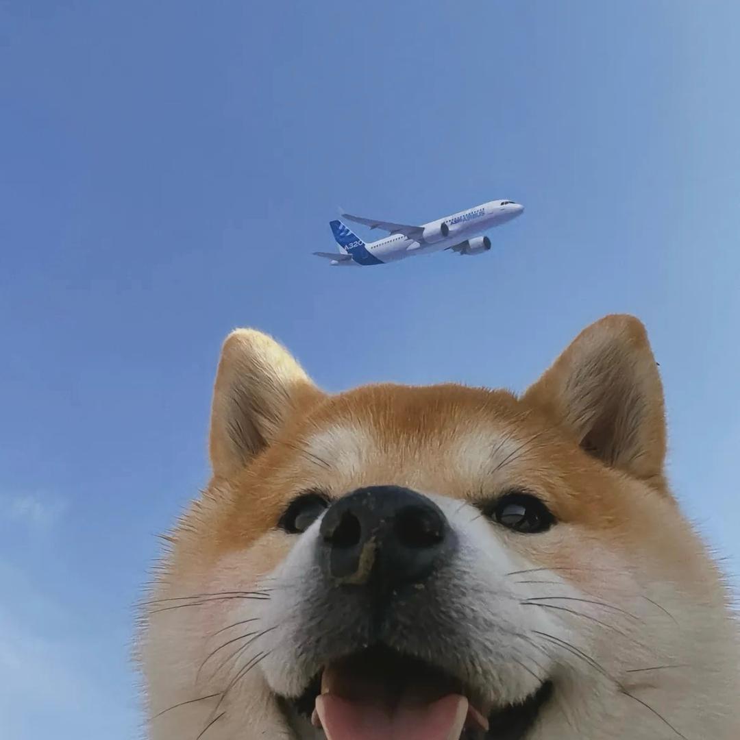 淼相小杰