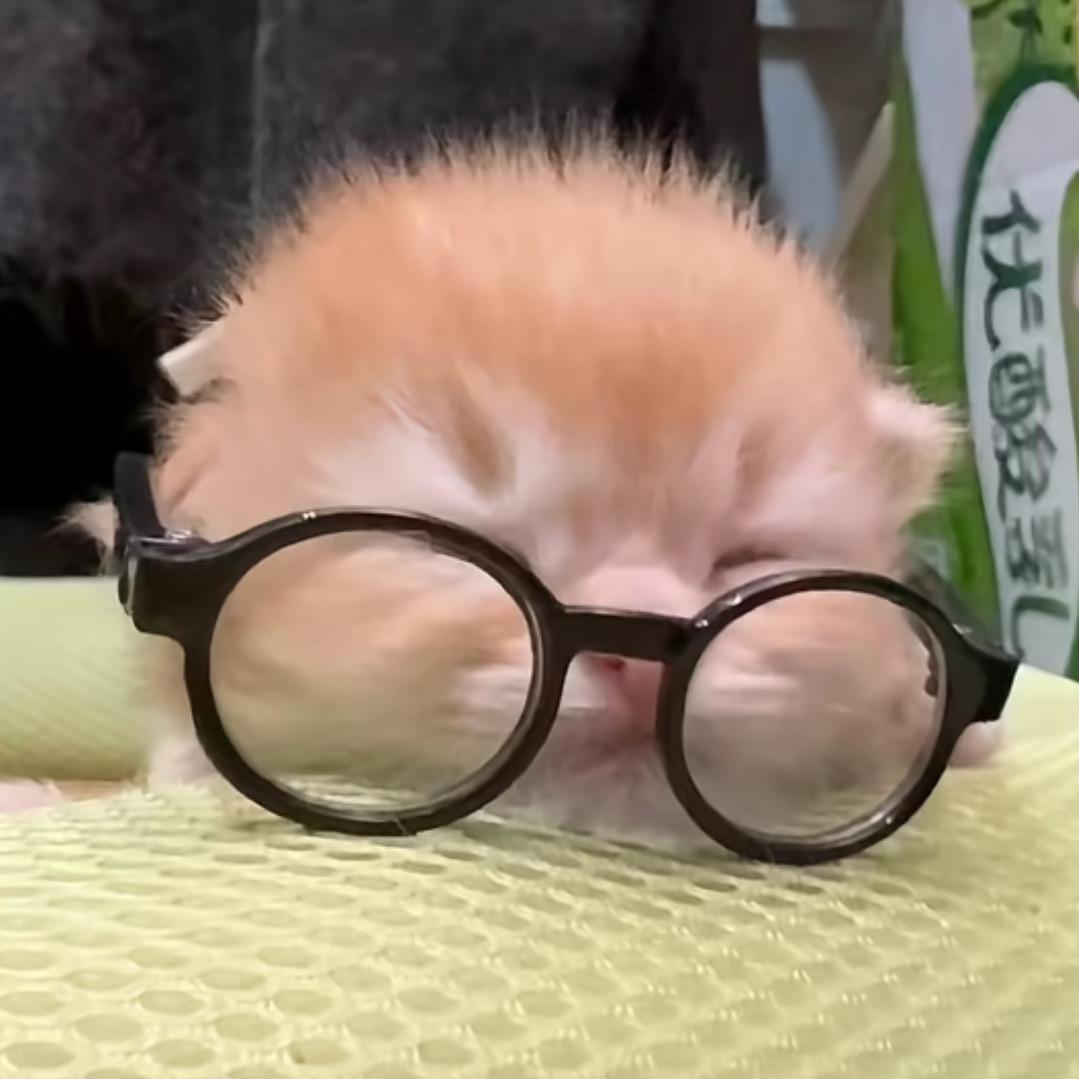 地球不好混