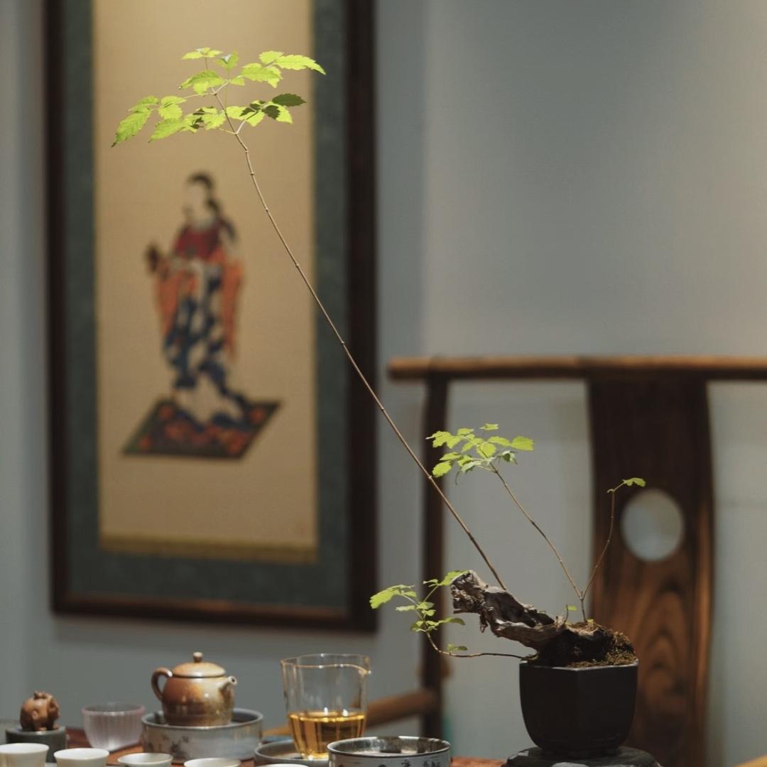 东聚玻璃优品小铺