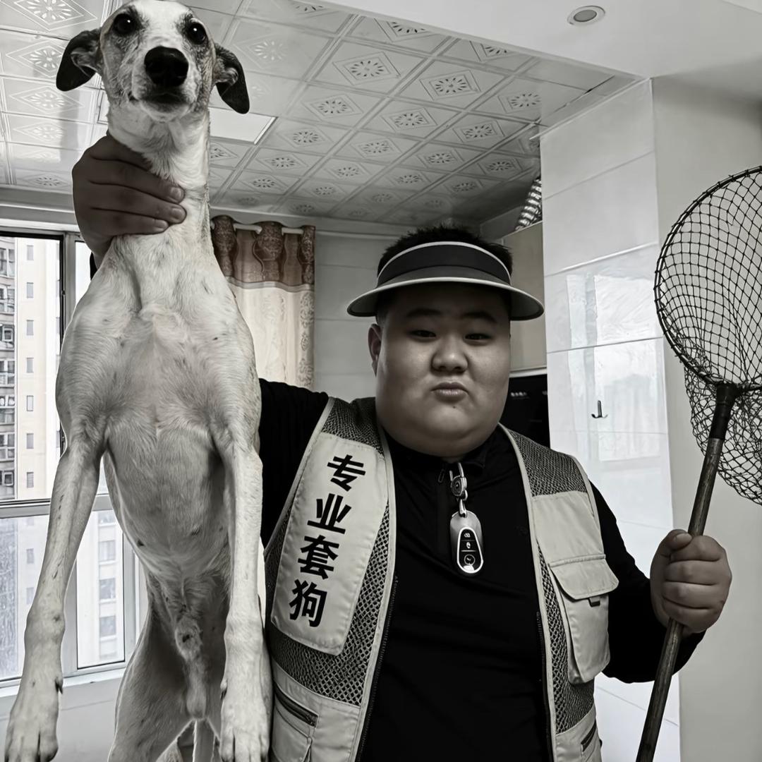 AAAAA 专业套狗赵师傅（仅限东北）