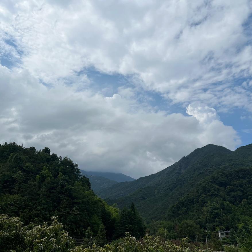 对妳╮俄输德彻底