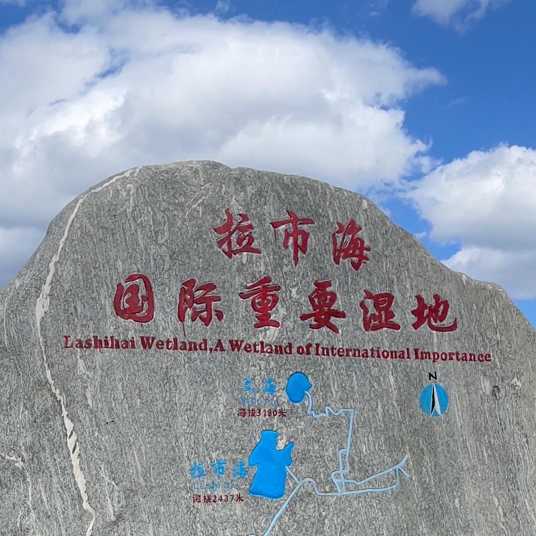 奇艺书刊《电子版图谱》