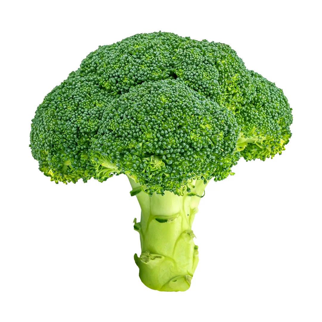 明天开始减肥！