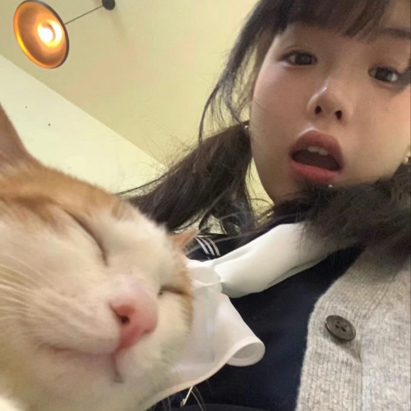 呆呆淋ɞ